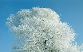 令人心动的手机号在线压测平台